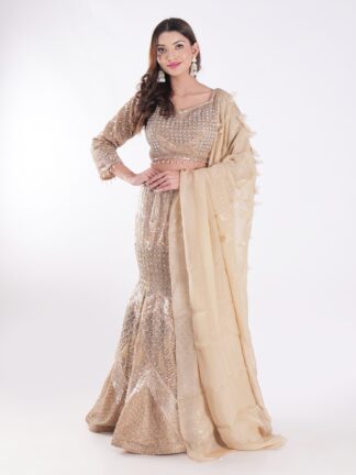 Cocktail Fish Cut Lehenga Choli