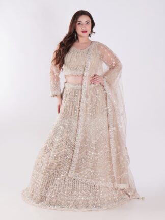 Party Wear Lehenga Choli