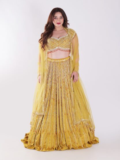 Backless Party Wear Lehenga Choli