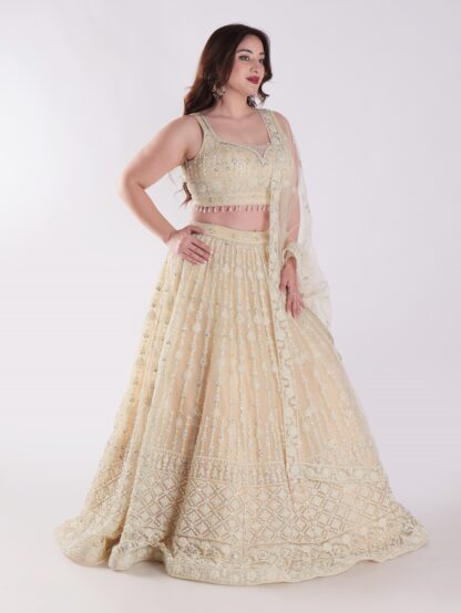 Designer Lehenga Choli - Image 3