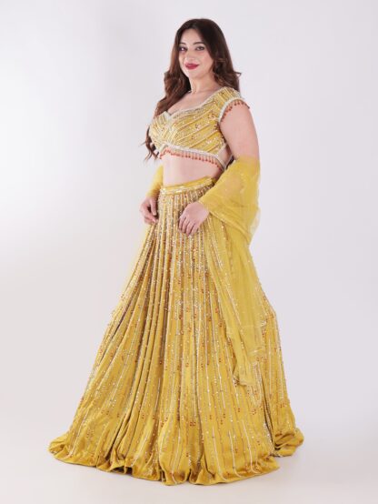 Backless Party Wear Lehenga Choli - Image 3
