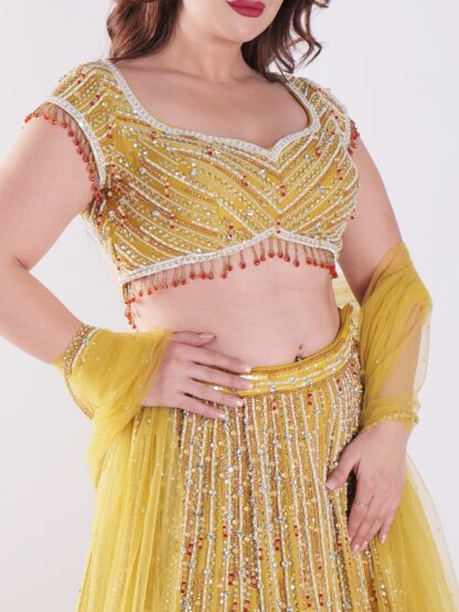 Backless Party Wear Lehenga Choli - Image 5