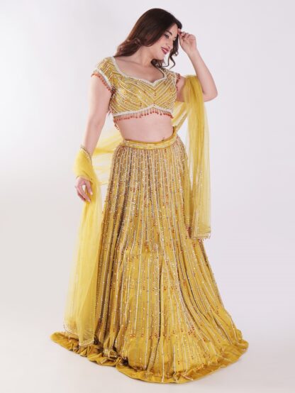 Backless Party Wear Lehenga Choli - Image 6